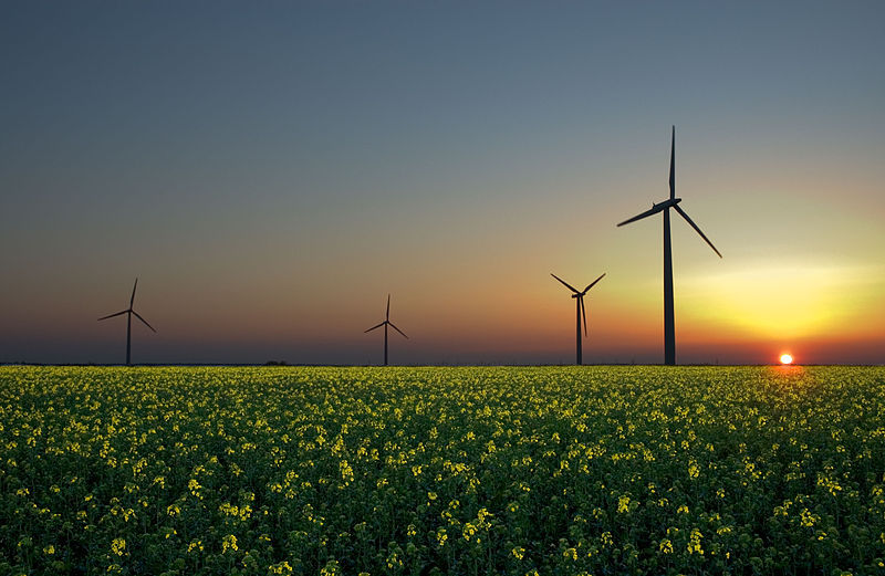 L'Allemagne est-elle en train de gagner le pari de la transition énergétique ? L'Allemagne est-elle en train de gagner le pari de la transition énergétique ?