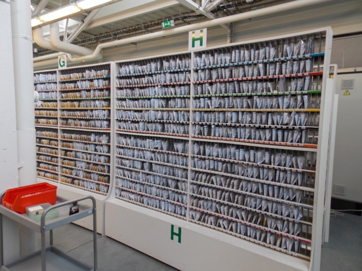 Optic 2000 : Reportage dans les coulisses de la fabrication des lunettes Optic 2000 : Reportage dans les coulisses de la fabrication des lunettes