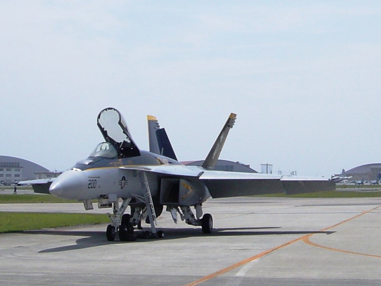 F/A 18 Hornet Wikipedia