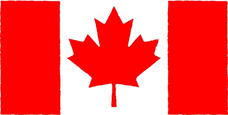 Invasion américaine : le Canada face à un scénario militaire inédit Invasion américaine : le Canada face à un scénario militaire inédit