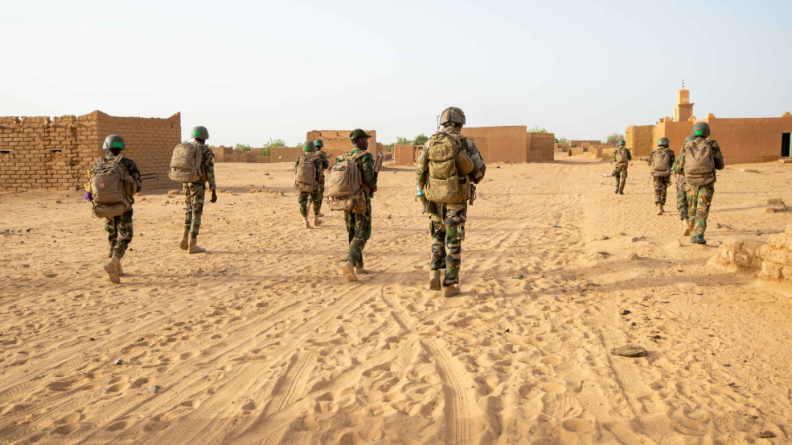 Defense Niger