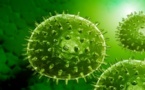 Pourquoi le coronavirus NCoV fait-il planer l'incertitude dans le monde de la santé ?