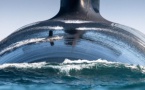 Naval Group en pôle position pour équiper la Marine néerlandaise de nouveaux sous-marins