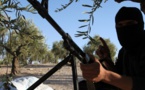 Repenser les stratégies terroristes