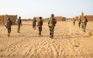 Defense Niger