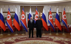 @wikipedia