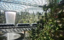 Singapour : Changi Airport se sent pousser des ailes.