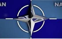 L'OTAN et la cyberdéfense L'OTAN et la cyberdéfense
