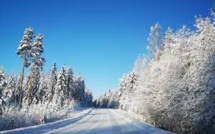 La Finlande et l’OTAN. Réflexions autour de Noël 2021 La Finlande et l’OTAN. Réflexions autour de Noël 2021