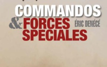 Commandos et forces spéciales