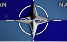 L'exercice "steadfast defender" 24 de l'OTAN