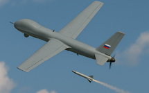 Tallinn : une « baguette » estonienne contre les drones russes