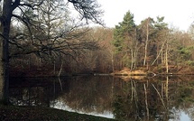 Affaire Robert Boulin : du « suicide » officiel au soupçon de crime d'État